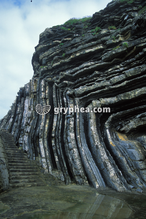 Plis dans les flyschs de la Pointe Sainte-Barbe (Saint-Jean de Luz, pays basque) - gryphea.org